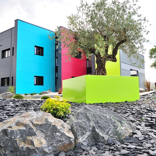 Création colorée et moderne, design mettant en valeur un olivier à Cugand